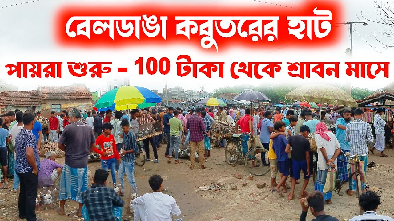 মাএ - ১০০ টাকায় কবুতর 