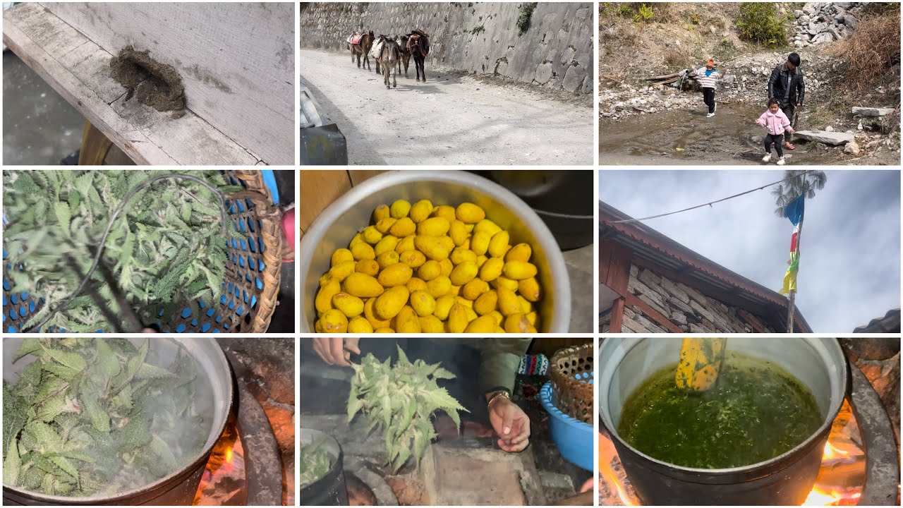 VILLAGE LIFE // RASUWA //ORGANIC LOCAL FOOD 