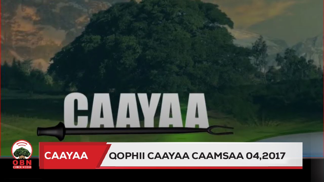 Caayaa | Bulchaa Godina Booranaa
