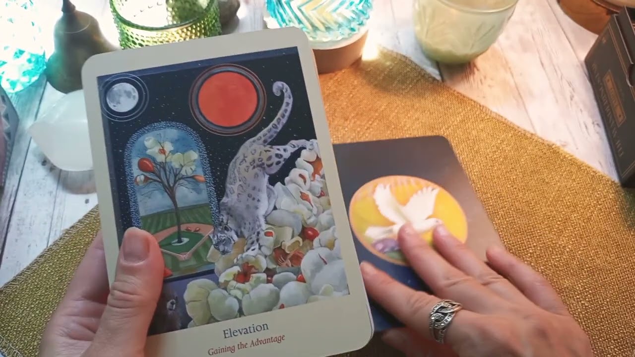 THE HEART PATH ORACLE CARDS | Review & Deck Pairing #deckreview #oraclecards  #divination