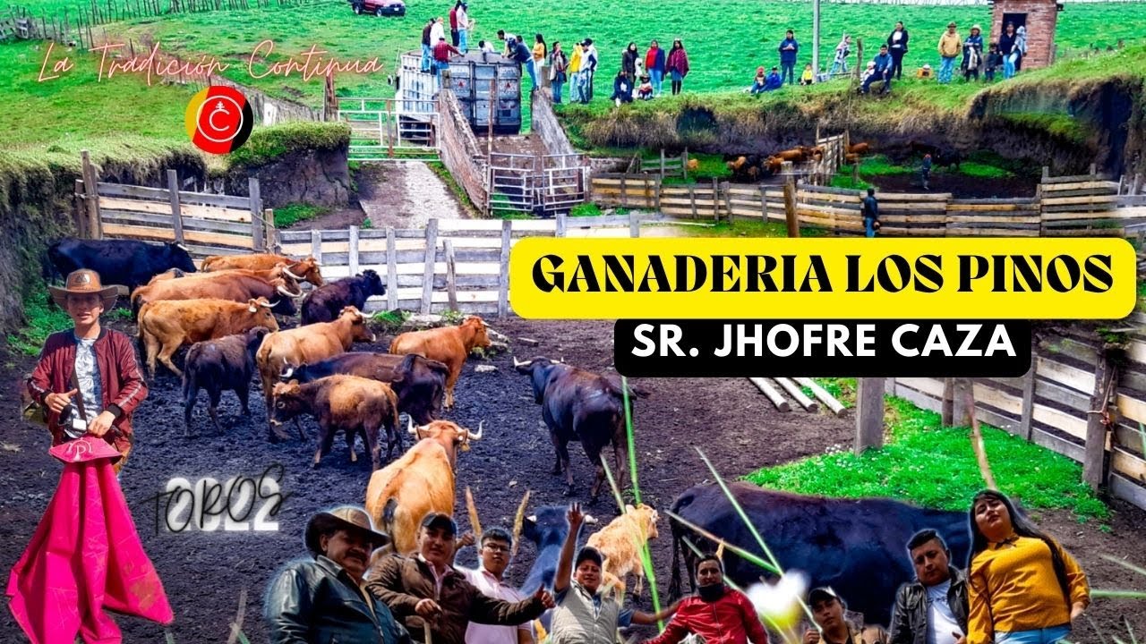 Embarque de toros bravos para SAN ANDRES ||Ganadería LOS PINOS || Jhofre Caza🇪🇨✨