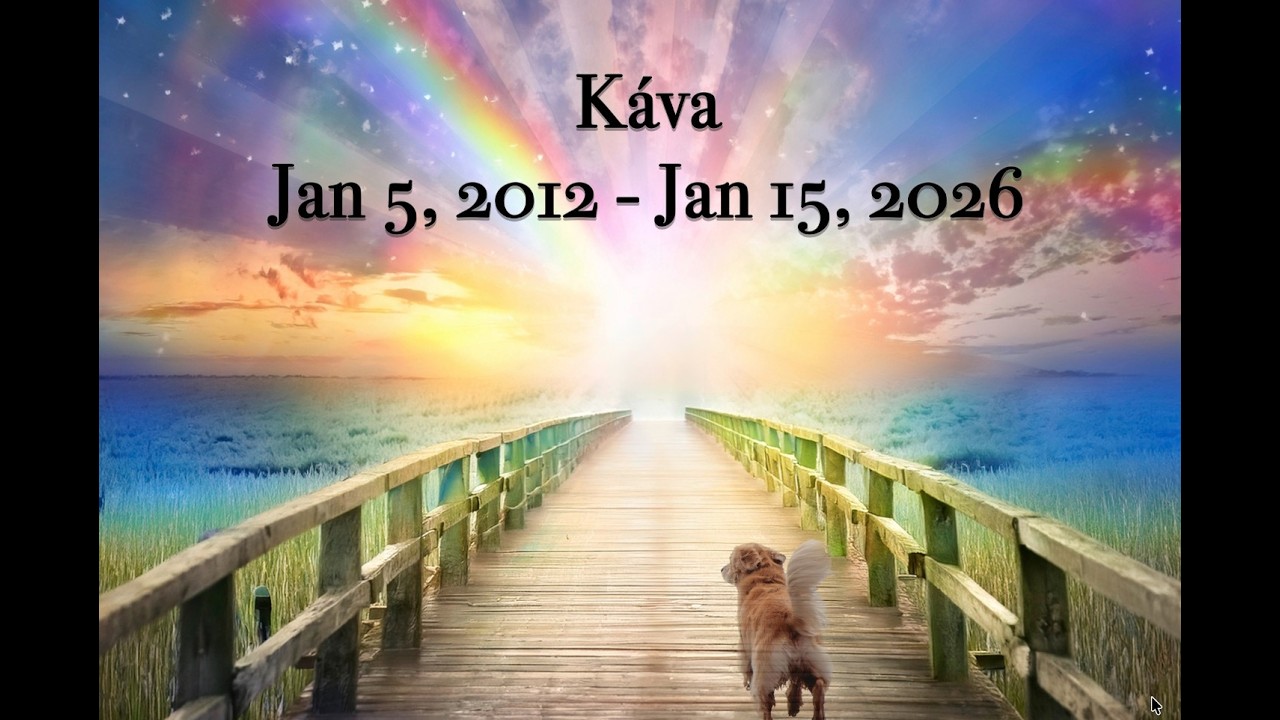 Goodbye Káva