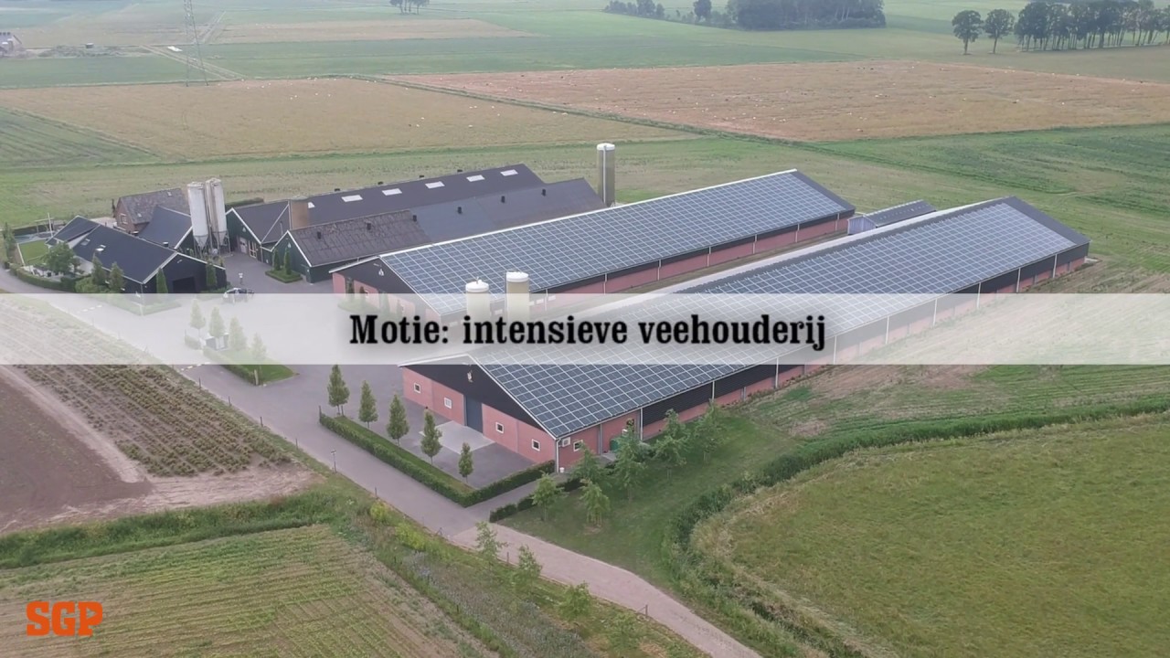 Reactie op de motie intensieve veehouderij