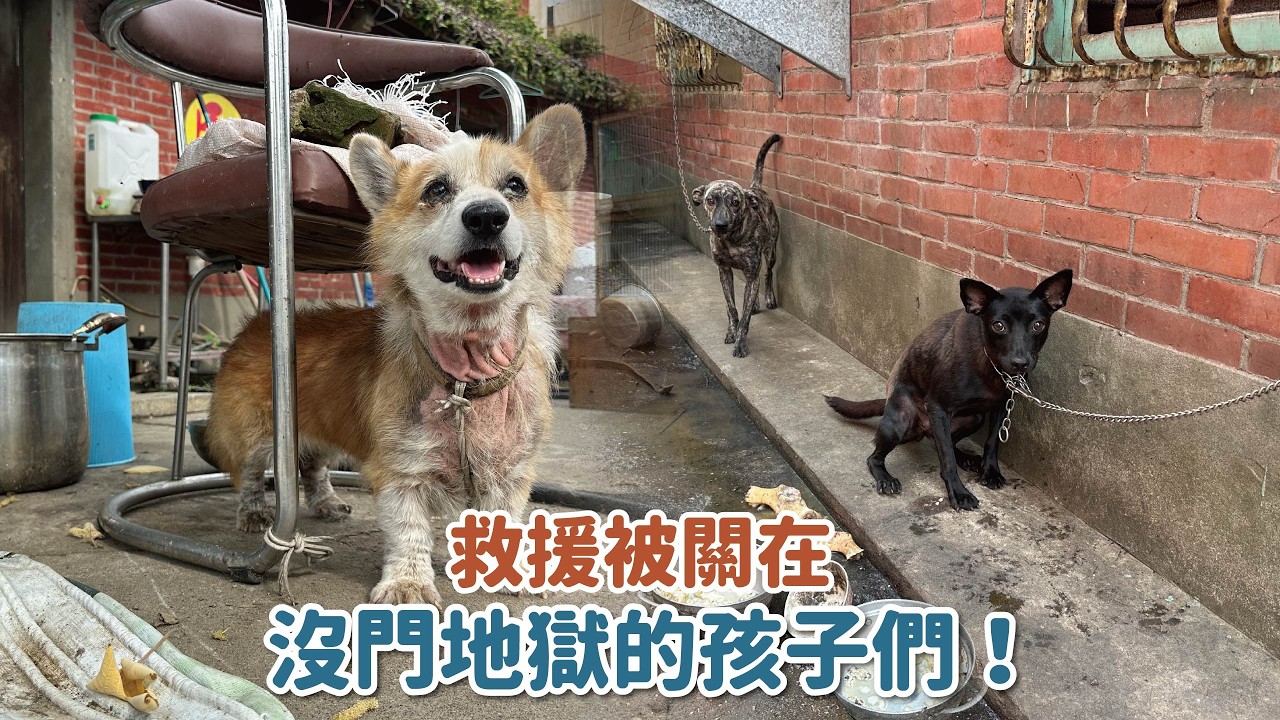 救援被關在沒門地獄的孩子們！｜頻道會員救援計畫