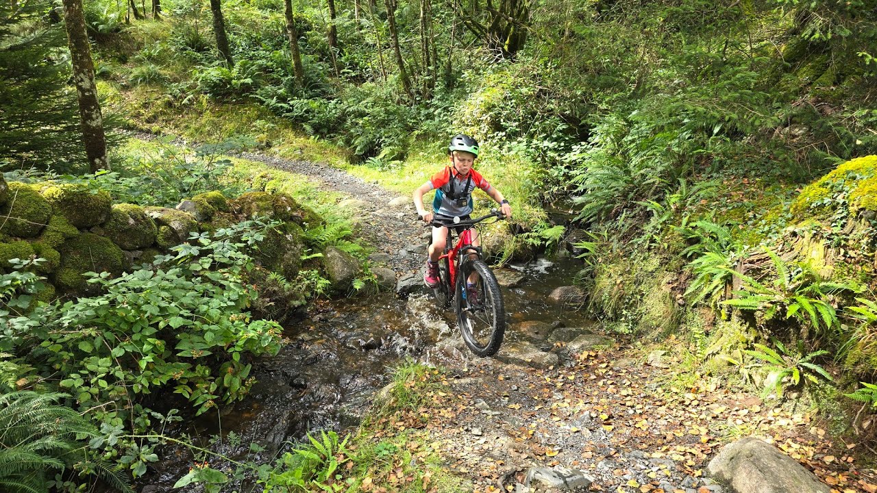 William's Kirroughtree Red MTB