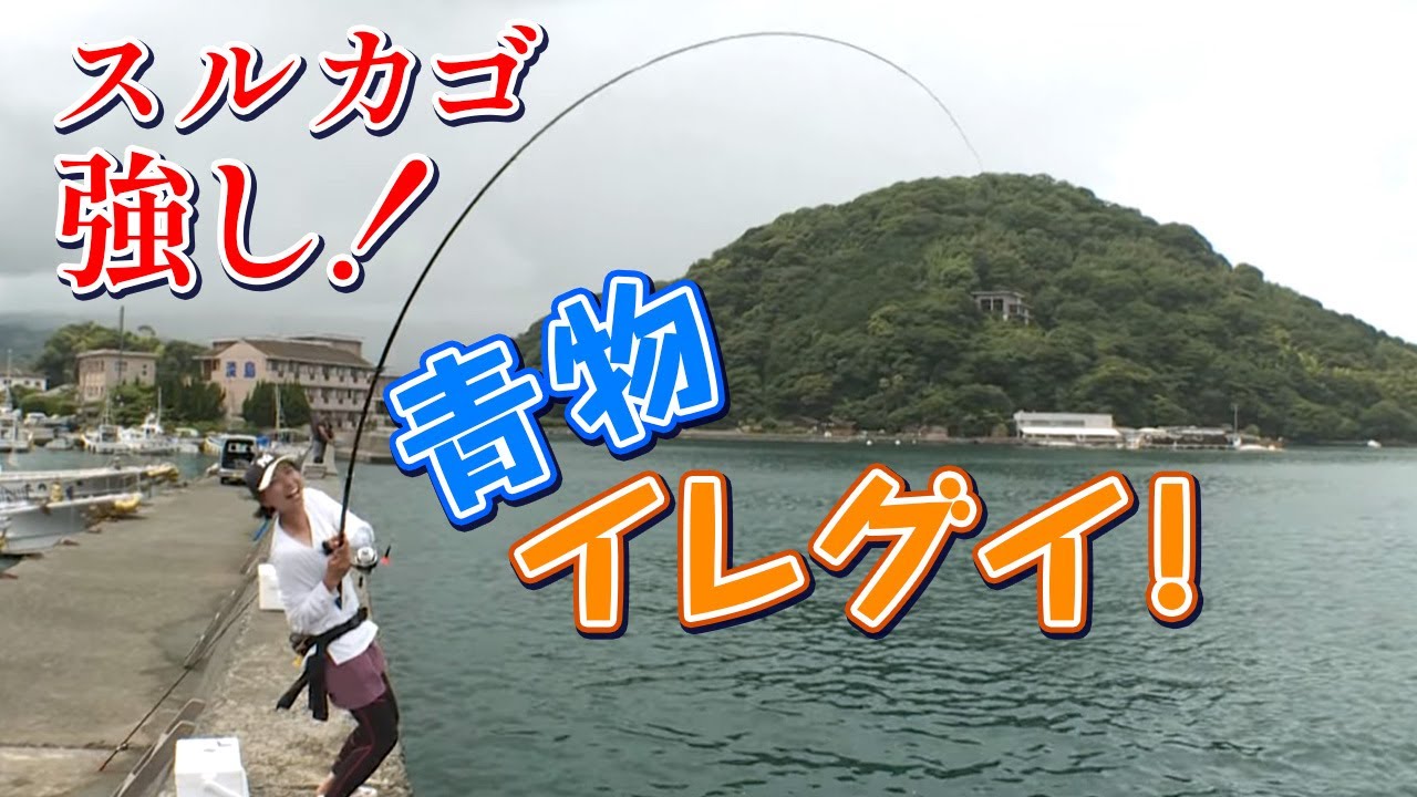 GO!GO!九ちゃんフィッシング #545　「カゴ釣りで狙う回遊魚！スルカゴでソーダガツオ入れ食い？」