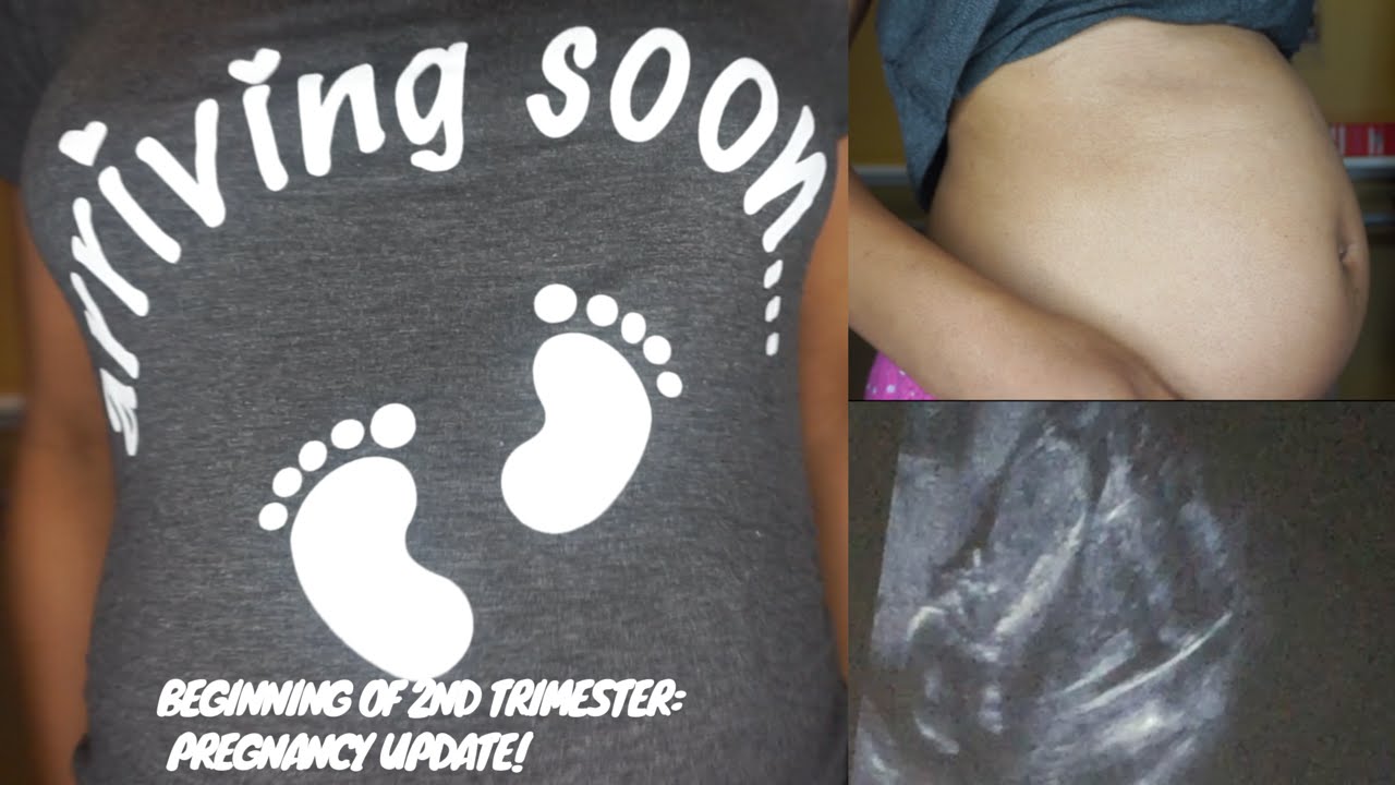 Pregnancy with Fibroids Update: Beginning of My Second Trimester!~PiecesofNika