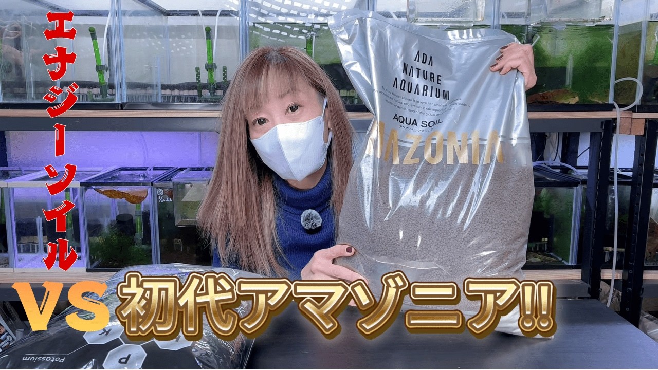 初代アマゾニアvsエナジーソイル ADA First Amazonia VS Kotobuki Energy-soil