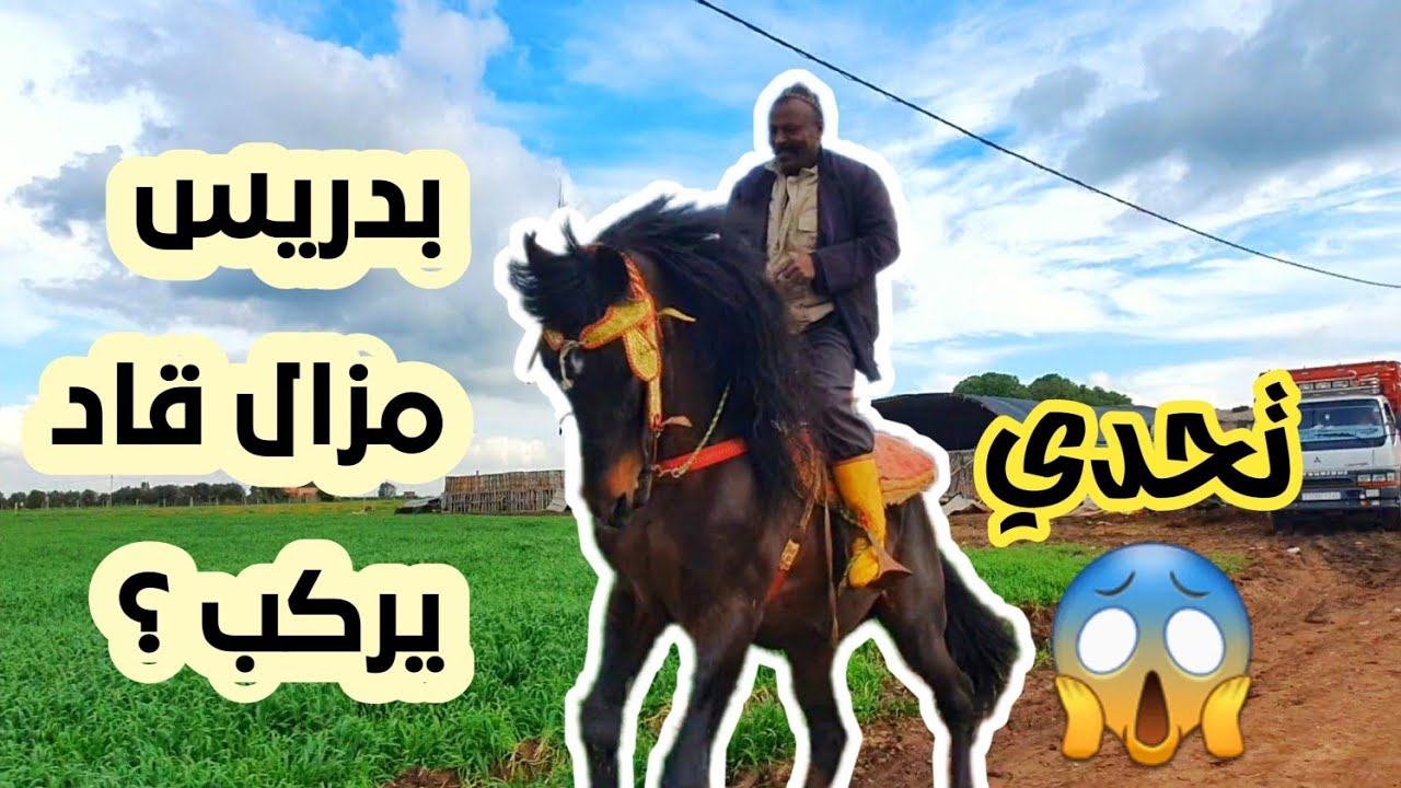 شوفوا بدريس ركب على الياقوت مع سربة😨ودرنا حسن جولة على الخيول في طبيعة ولاد زيان مع احسن باردية 🥰