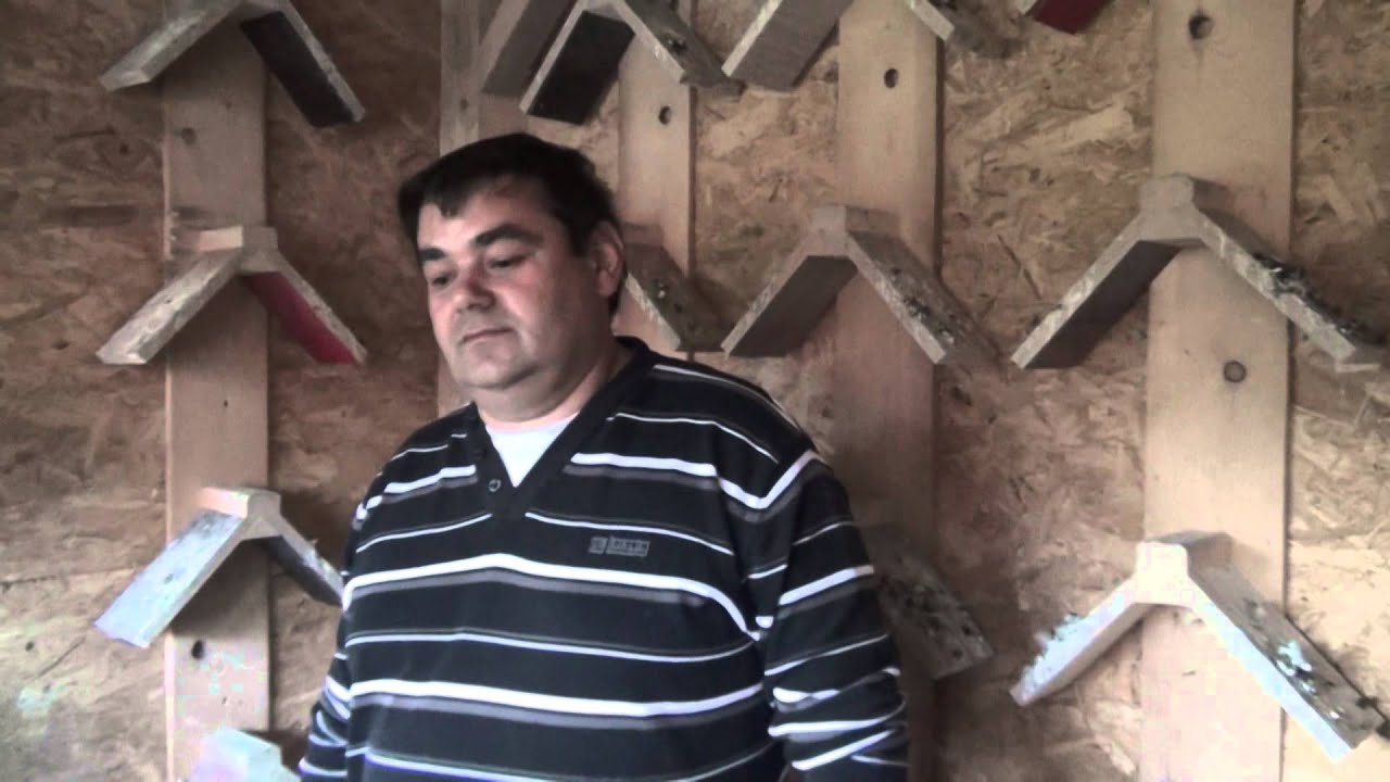 Interviu columbofil cu Baias Gheorghe din Sighetu Marmatiei (Maramures, RO)