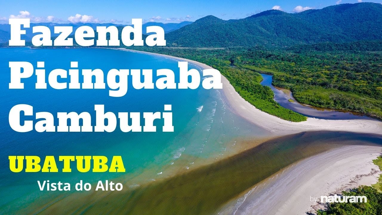 Praia da Fazenda, Praia da Picinguaba,  Camburi, e Bicas - Ubatuba Vista do Alto, imagens aéreas