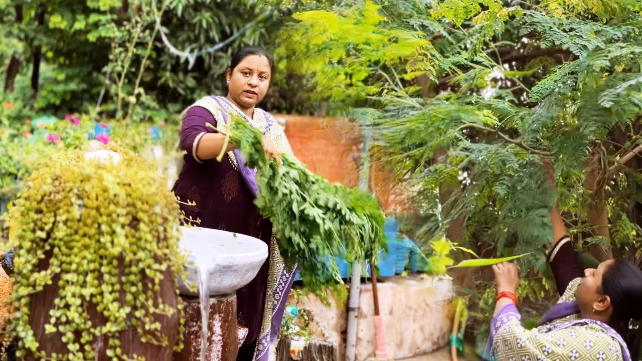 आज मैंने बनाई सहजन  के पत्ते की हेल्दी और टेस्टी सब्जी#Jharkhandi Life Style Vlog #marybarlavlog