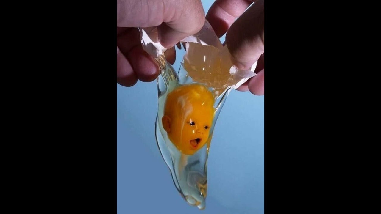 ‎