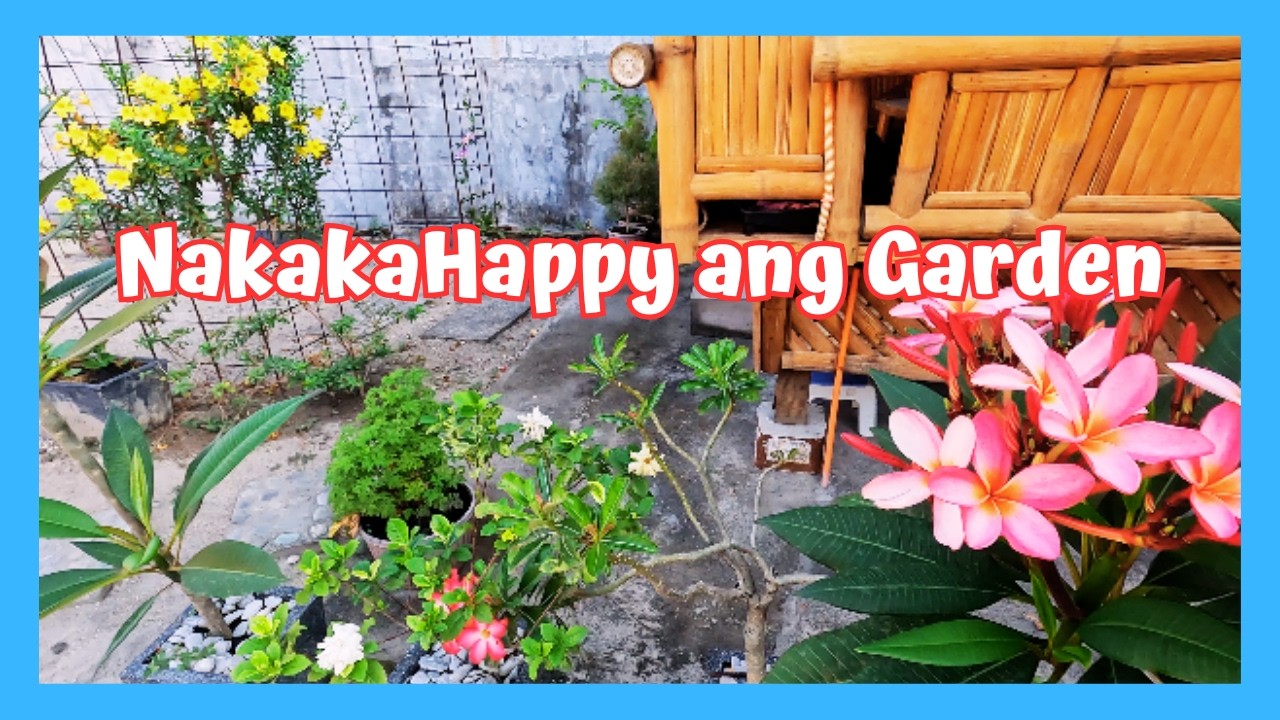 GARDENING AT RETIREMENT. OUR HAPPY GARDEN. LIFE IN THE PHILIPPINES