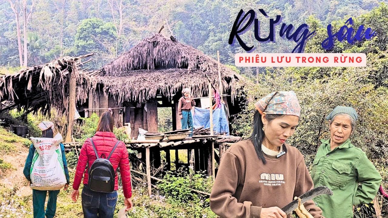 Khám phá ngôi nhà biệt lập giữa rừng sâu - Thiên đường ở đây chứ đâu !
