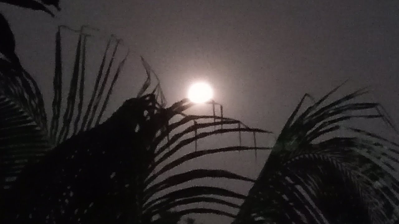 ভালোবাসা টানে অনেক দিন পর লাইভ এ চলে আসলাম কলিজার ভাই ও বোনেরা কেমন আছো তোমরা।