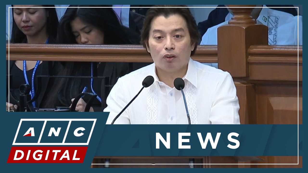 FULL: Michael Poa argues against subpoena for VP Sara bank, tax records | ANC