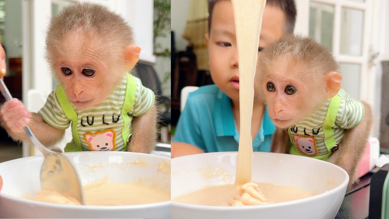Joyful Family Time with Baby Monkey Lulu | Walk, Bake & Eat Together