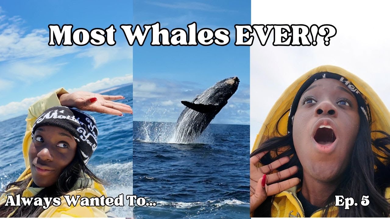 Always Wanted To Ep 5| I Chased Whales Across the Ocean| Whales Breaching Everywhere!