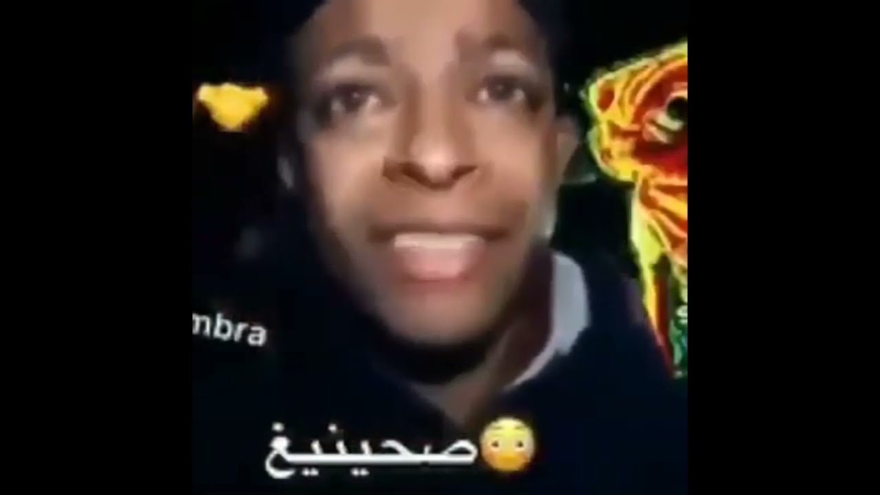 Compilado shitpost raiz #1