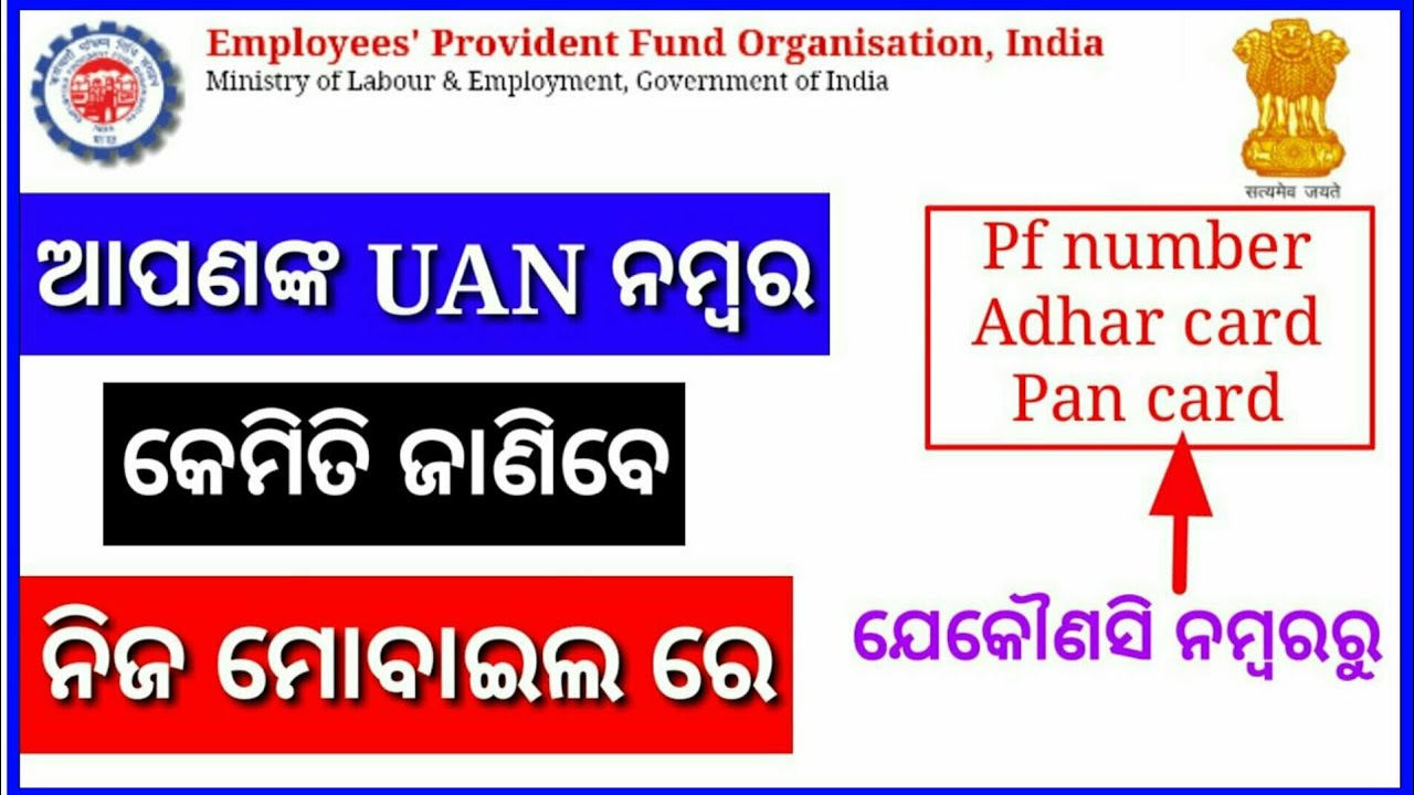 know your UAN status odia || generate UAN for epfo || UAN create online your momile. UAN check.