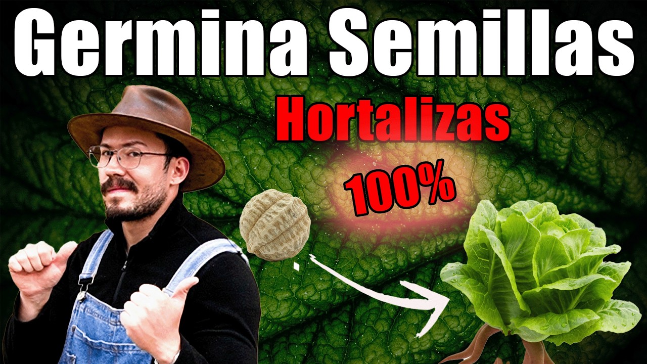 GERMINACIÓN de SEMILLAS Exitosa [TUTORIAL]: Todos los Secretos para HORTALIZAS. Clase maestra