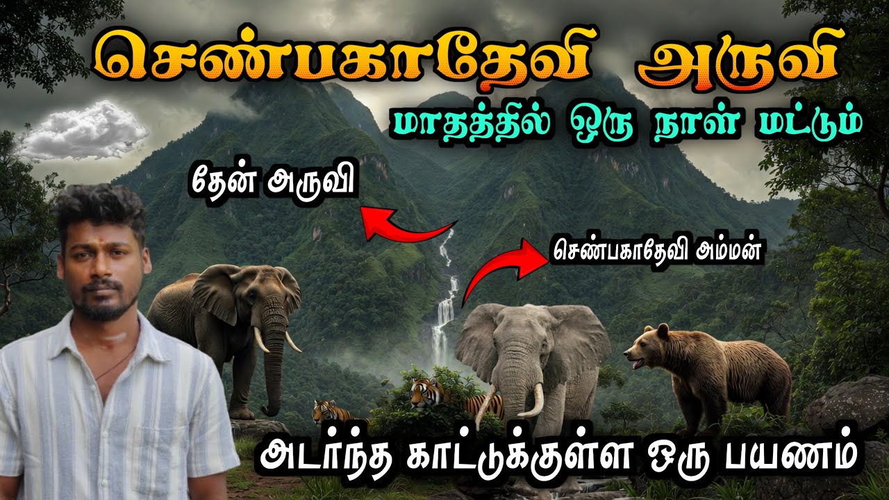 அருவிகளுக்கெல்லாம் இதுதான் தல😱செண்பகாதேவி அருவி 🏞️ Shenbaga Devi Falls 😱Courtallam 🏞️குற்றாலம் அருவி