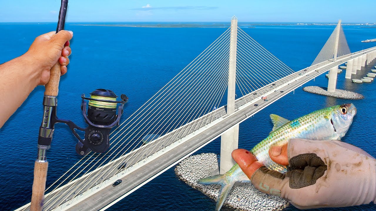 Fishing Tampa Bays Best Spot For Monsters!