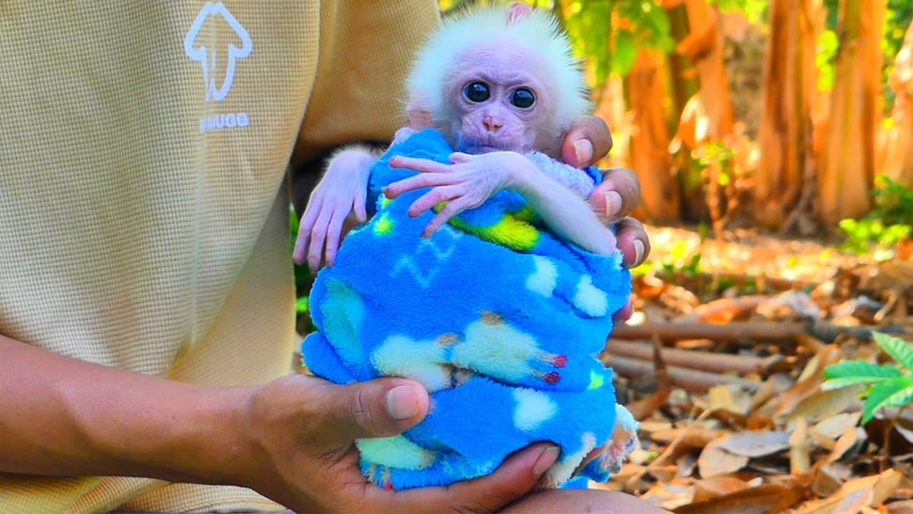 Wow ! Mommy wearing the towel for Kira very adorable