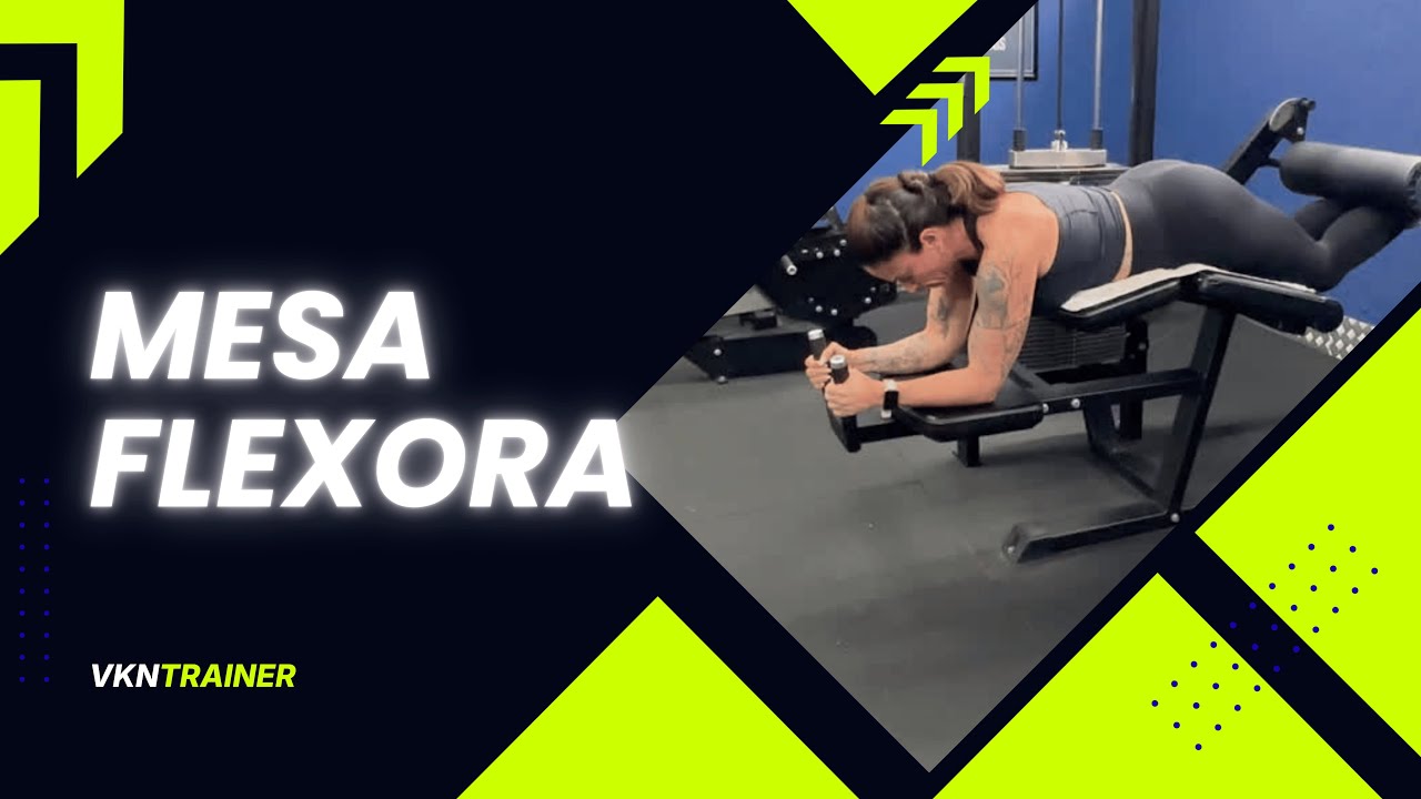 Mesa Flexora (Lying Leg Curl) - Execução Técnica e Ajuste Padrão | VKNTrainer