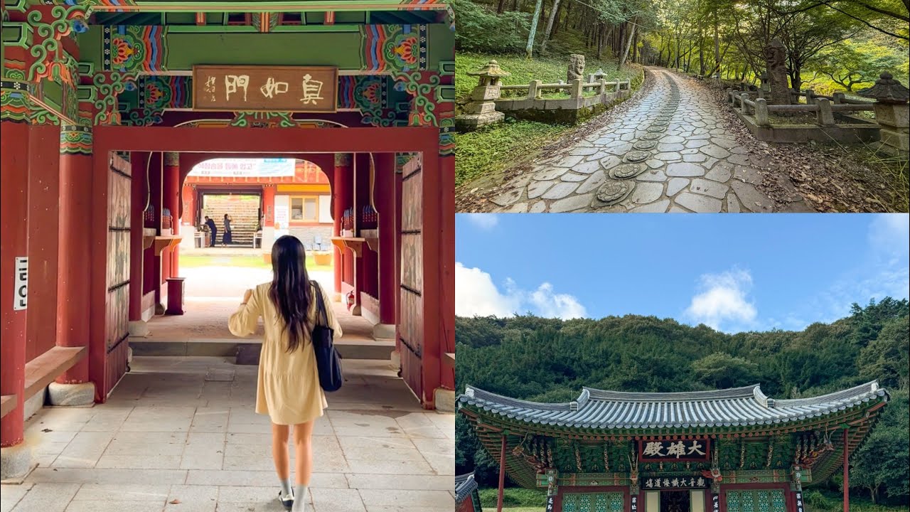 전남 나주 절투어로 다녀온 불회사 #전남여행 #나주여행 #불회사 #전남절투어 #산사여행 #힐링여행 #여행브이로그 #사찰여행 #국내여행 #사찰 #사찰풍경 #여행 #여행기록 