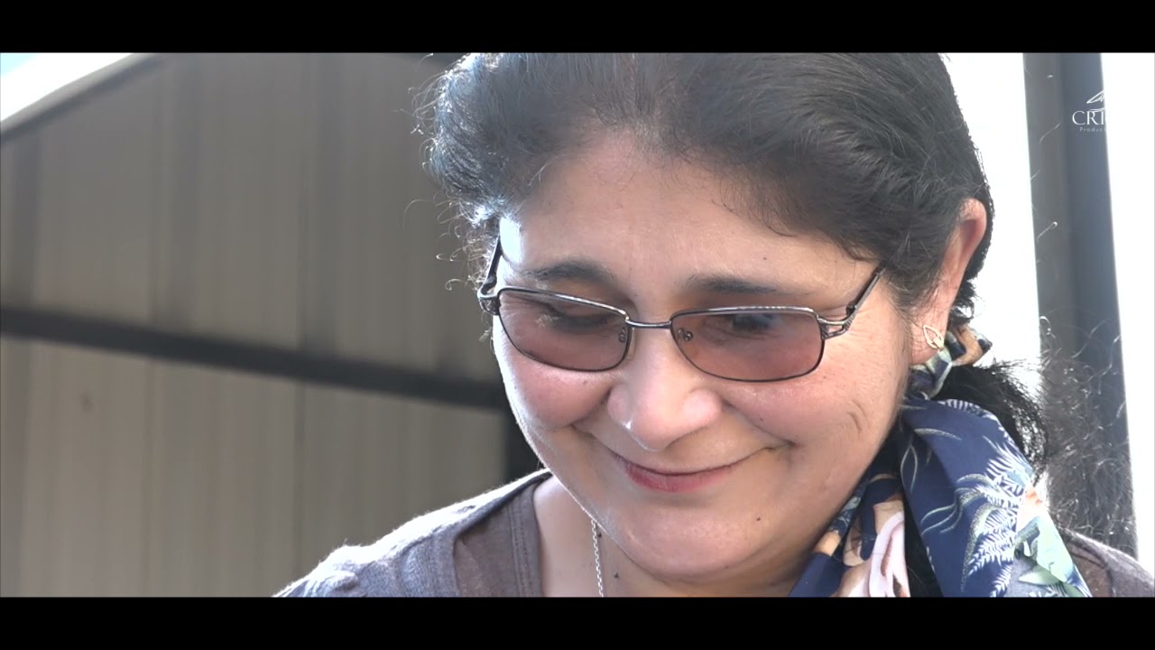 Documental Vale callampa