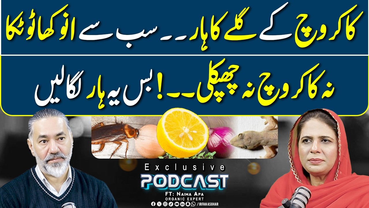 Cockroach Ka Haar - Anokha Totka Jo Keeron Se Bachaye | FT: Naima Apa | Irfan Asghar