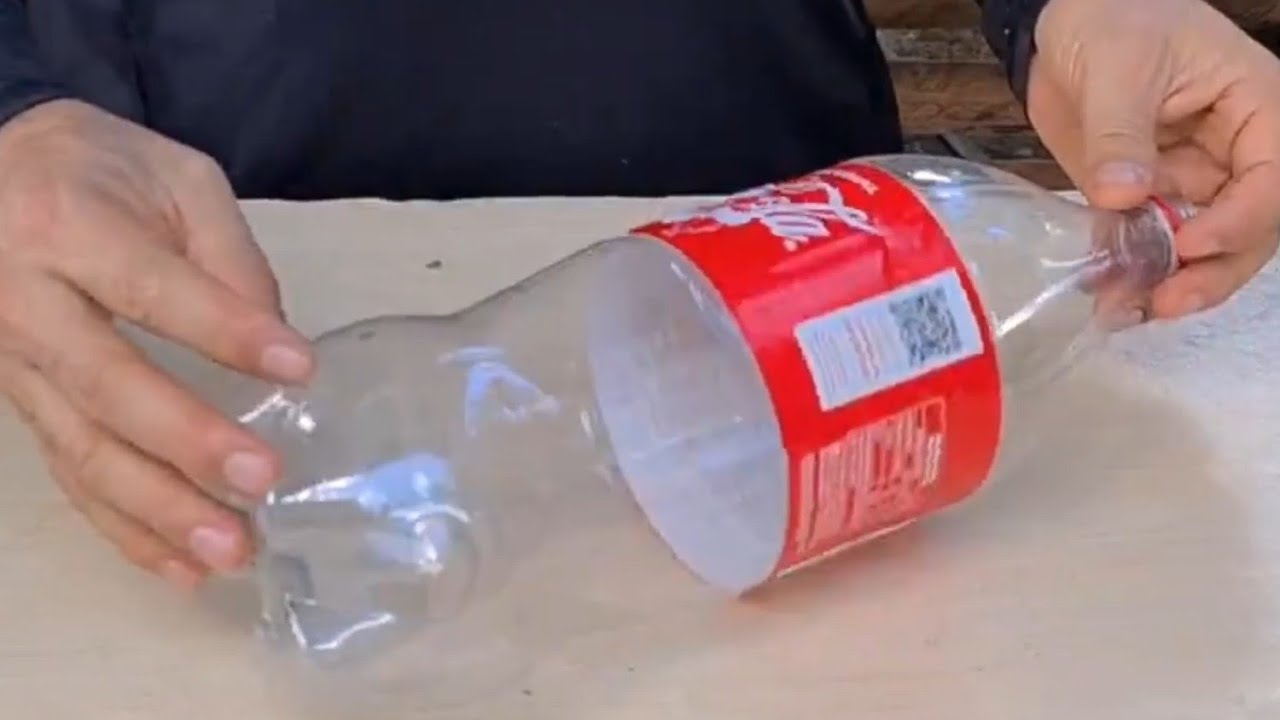ideia linda com Garrafa de COCA COLA e cotonete para Plantar Cactos e Suculentas