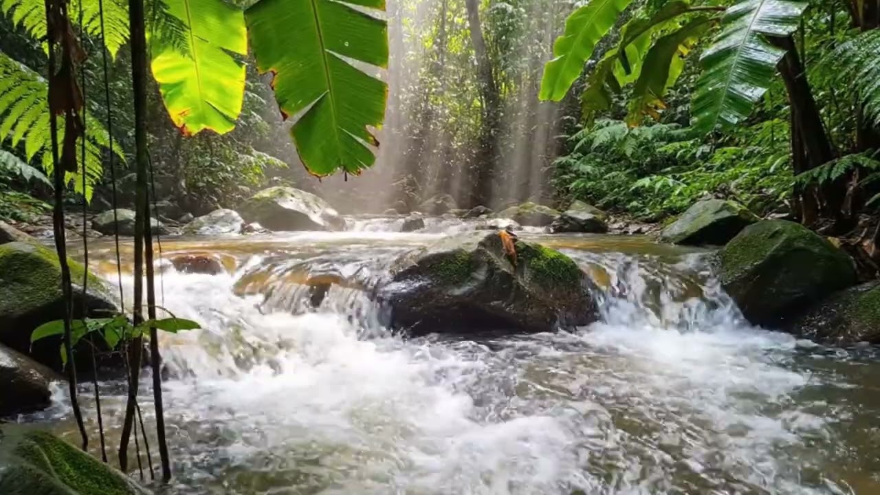 Relaxing Waterflow for Sleep | Nature Sounds ASMR