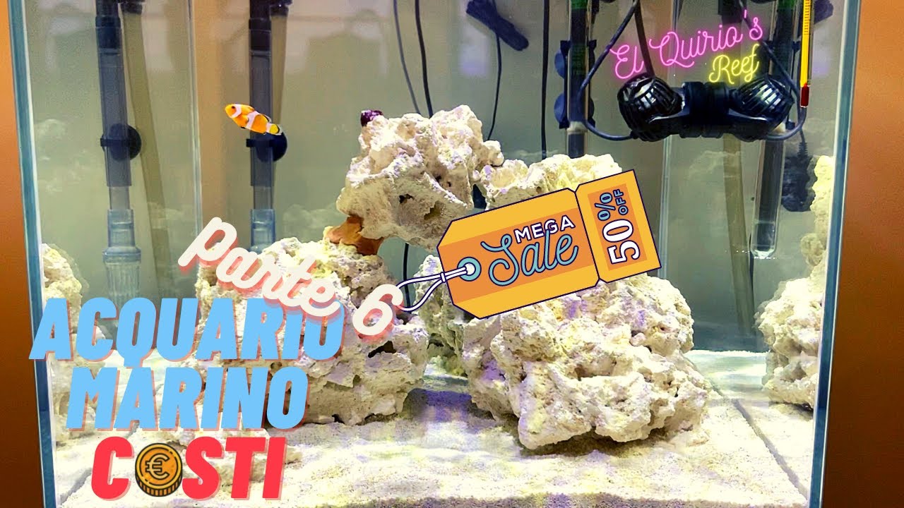 #6 Come allestire un acquario marino - Parte 6 - Quanto è costato?