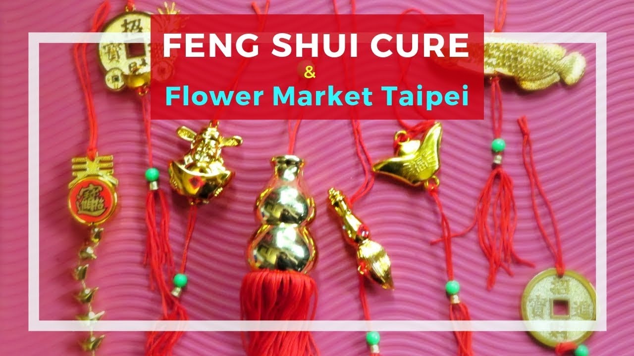 Good luck Feng Shui cure and decor from Taipei flower market