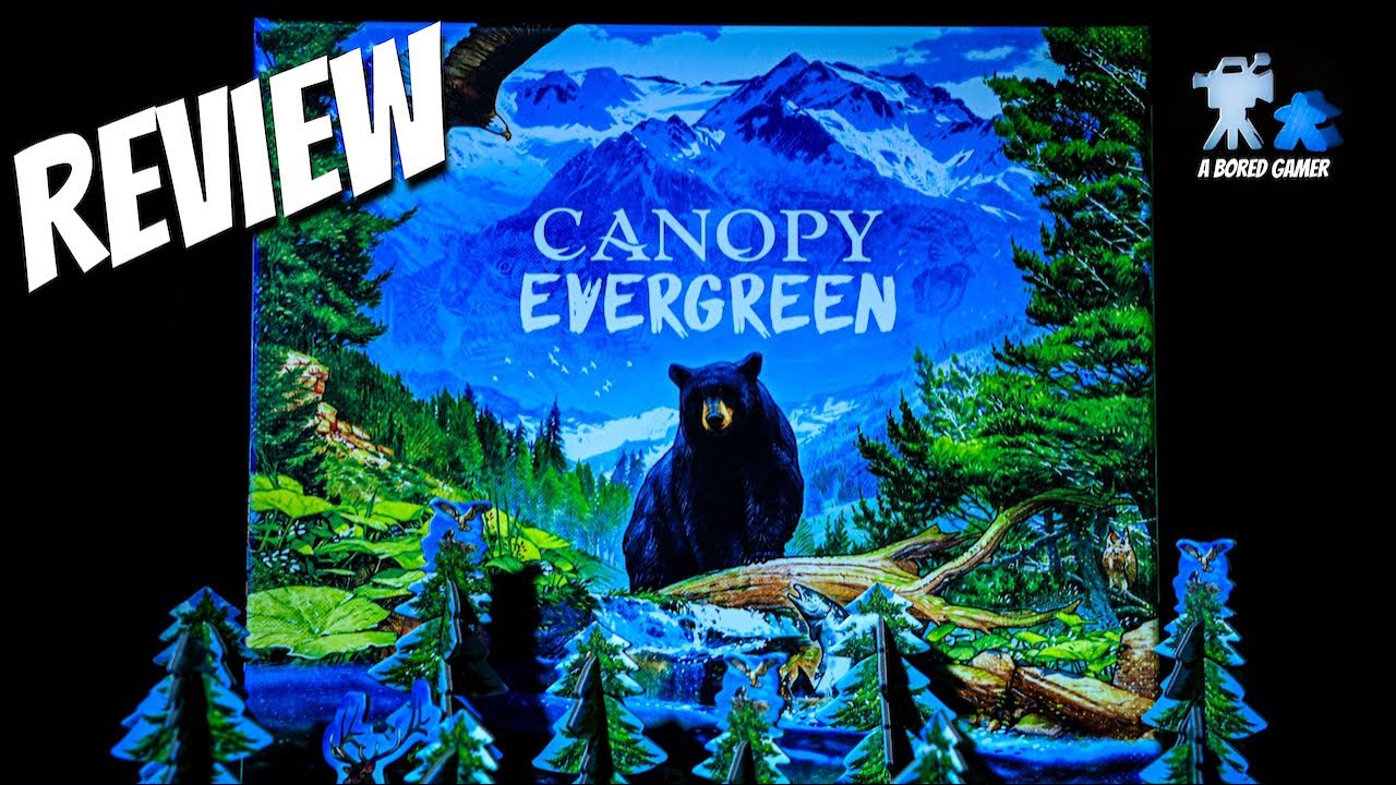 Canopy Evergreen Review