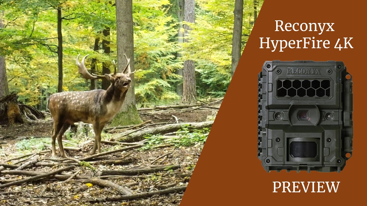 Reconyx HF4K HyperFire 4K | Prvý pohľad na kvalitu videa