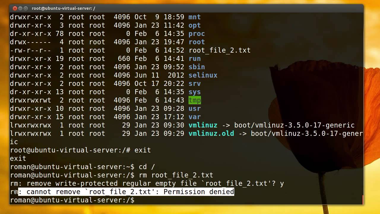 Научись Linux: пользователи и права доступа (эпизод 6)