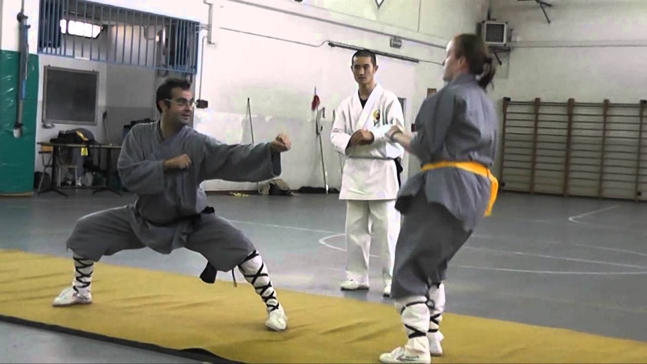 shaolin chang hu xin yi men seminario
