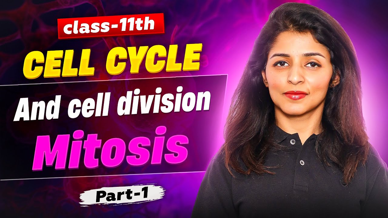 Cell Cycle & Cell Division  :  Mitosis || Part 1 || Class 11 Biology || By Tina Ma'am