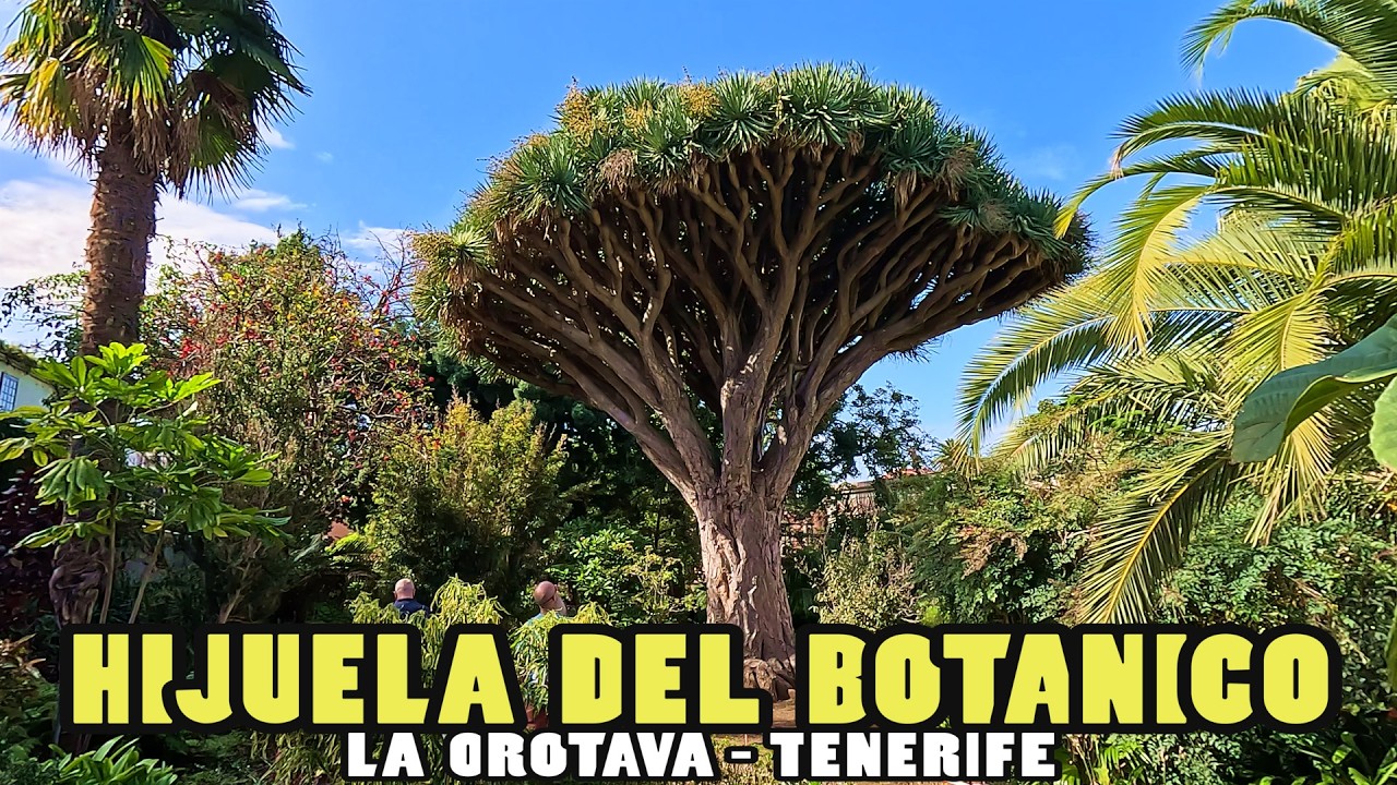 HIJUELA DEL BOTANICO - La Orotava - Tenerife (4k)