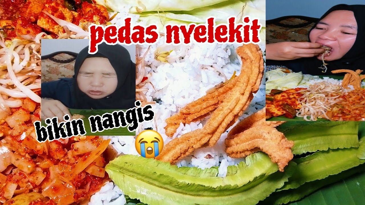 ENDING NYA BIKIN NANGIS//LEMEA PEDAS NYELEKIT,🥵