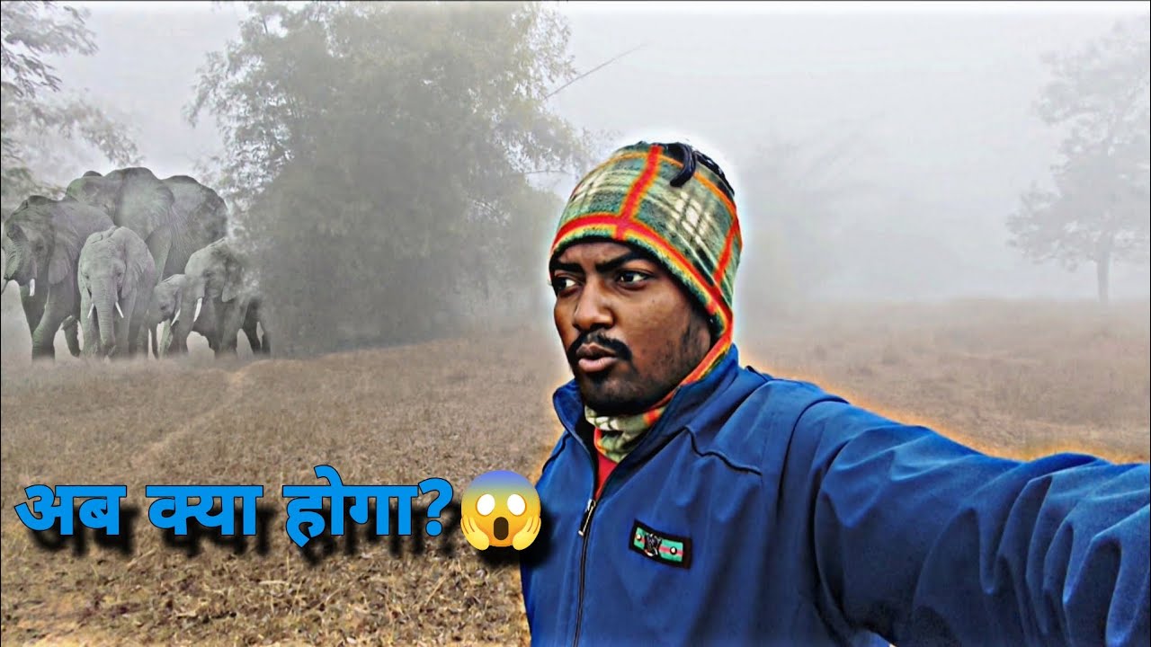 🐘हाथी देख लिए कोहरा में😱|| Elephant in fog😱 || pura fas gaye kaun bachaega mujhe #niranjanmahli 