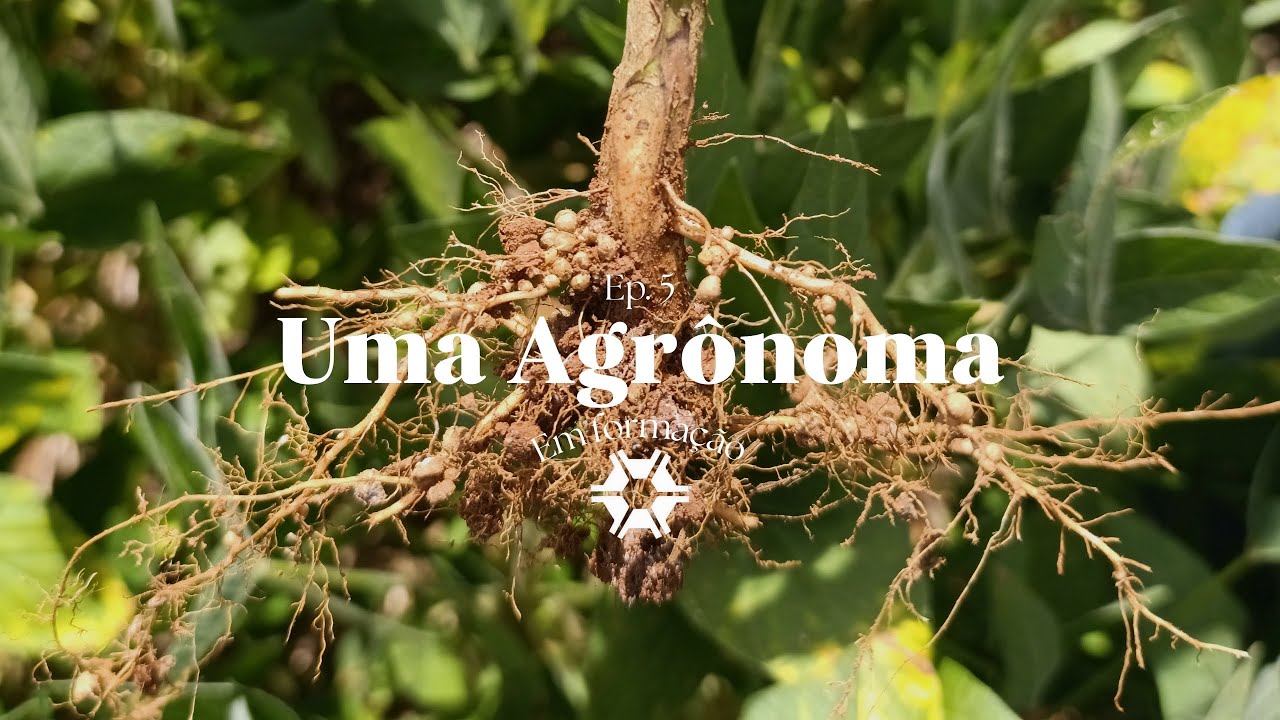 Uma agrônoma em formação #5🌱