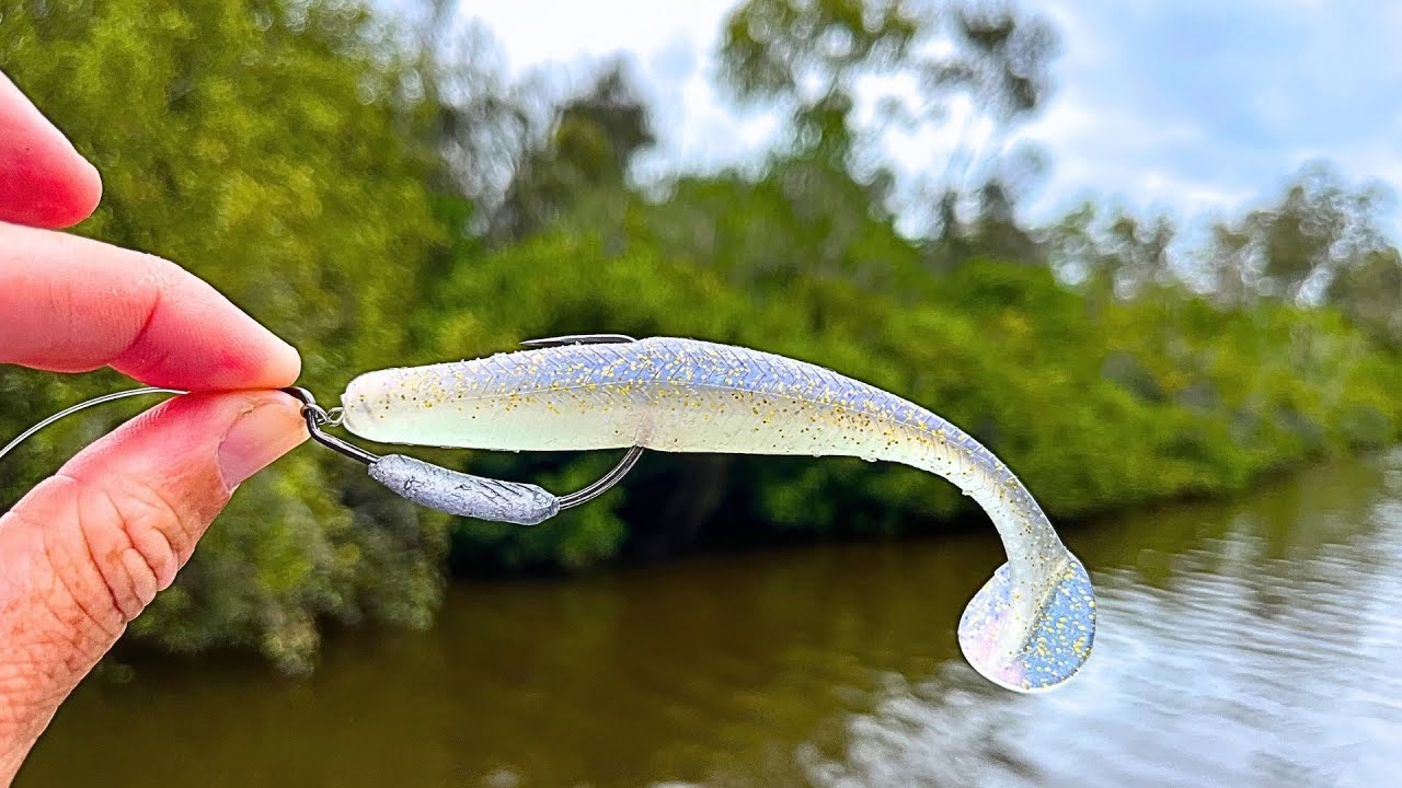 Fishing The Mangrove Lined Creeks - Divine Swimbaits