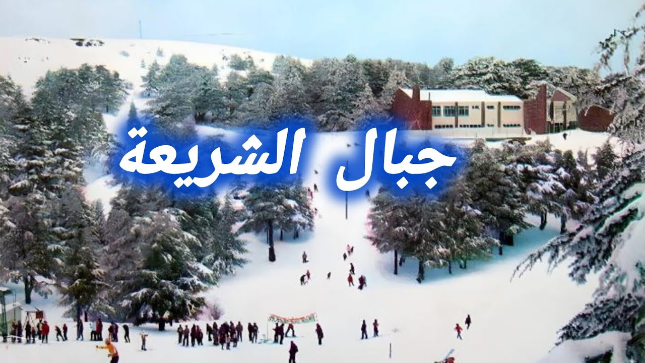 الحظيرة الوطنية للشريعة تكتسي حلتها البيضاء بتساقط الثلوج  جبال الاطلس البليدي  الجزائر
