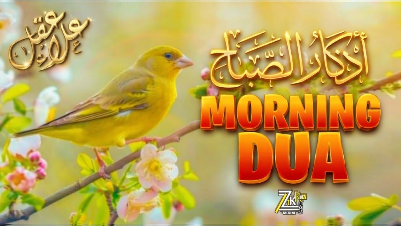 Powerful Morning Adhkar | peaceful |Blessings| Start Your Day with Barakah & Protection ✨💖 