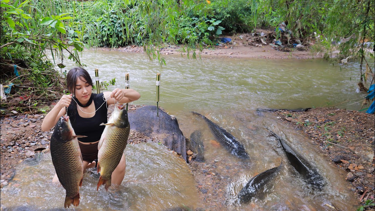 Beautiful Girl Fishing Skills | Catching Big Fish in the Wild Adventure